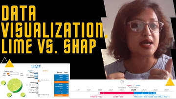 Data Visualization with Python: Lime and SHAP Libraries
