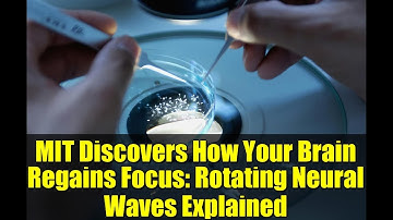 MIT Discovers How Your Brain Regains Focus: Rotating Neural Waves Explained