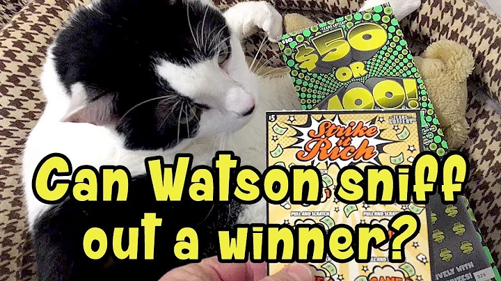 WIN! Strike It Rich or $50 or $100? 💰 TEXAS LOTTERY Scratch Off Tickets
