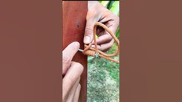 A simple and reliable trick to secure a rope to a nail so it won