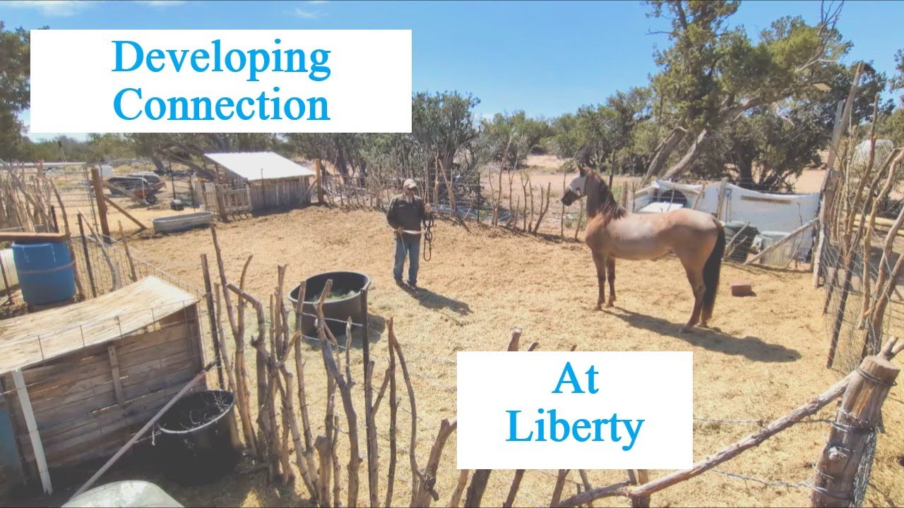 Rowdy At Liberty Part 1