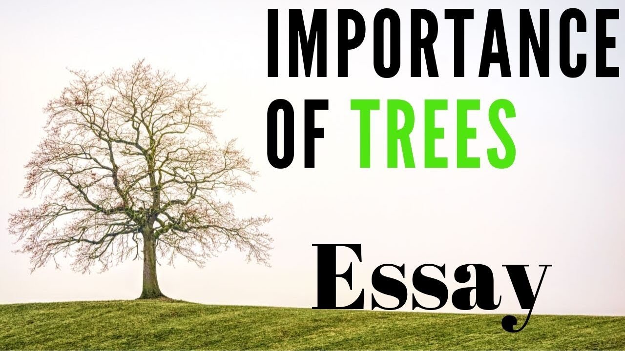 Importance Of Trees Essay In English By Footage YouTube