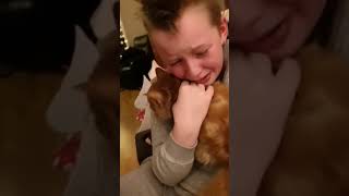 Boy Reunites with Lost Cat After Seven Months - 1017588 Boy Reunites with Lost Cat After Seven Months - 1017588