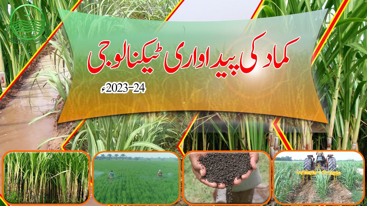 کماد کی جدید پیداواری ٹیکنالوجی