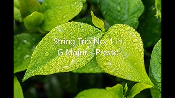String Trio No. 1 in G Major - III. Presto