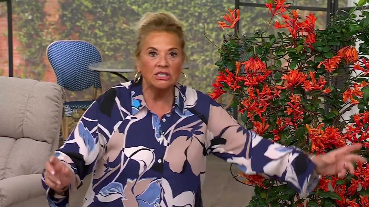 Ultimate Innovations 2Pc Honeysuckle Love Live Plants on QVC