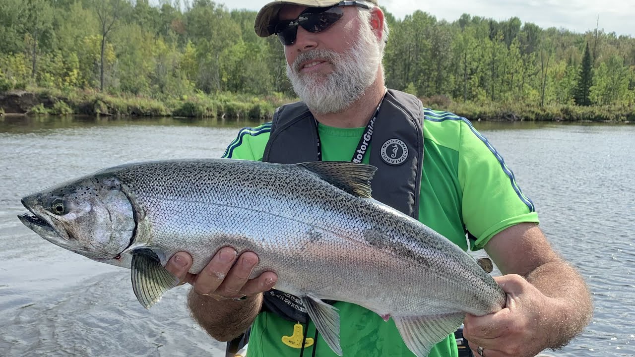 Lake Superior tributary-king salmon & Mixed bag of fish