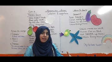 Metropolitan School April Week 3 Class 6 English Lesson