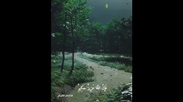 حين قال المنافقون: "غَرَّ هَٰؤُلَاءِ دِينُهُمْ"، ظنّوا أن النصر بعيد، سورة الأنفال بصوت سعد الغامدي