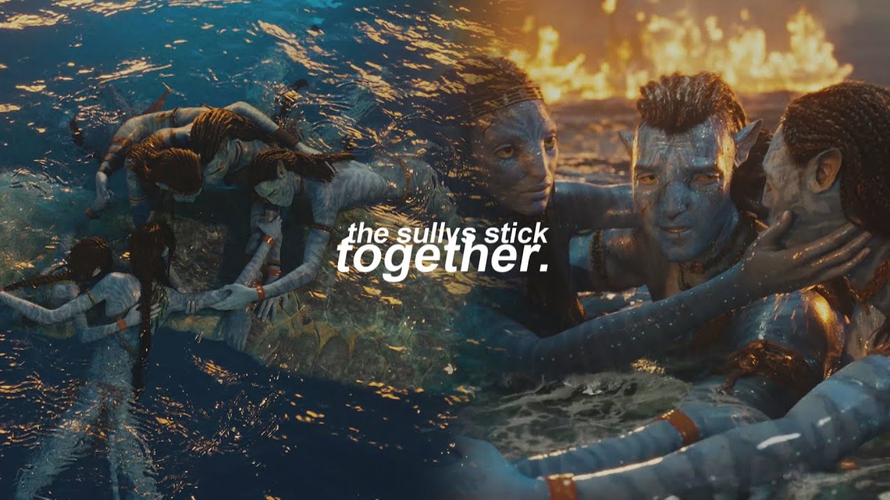 The Sullys Stick Together || Avatar