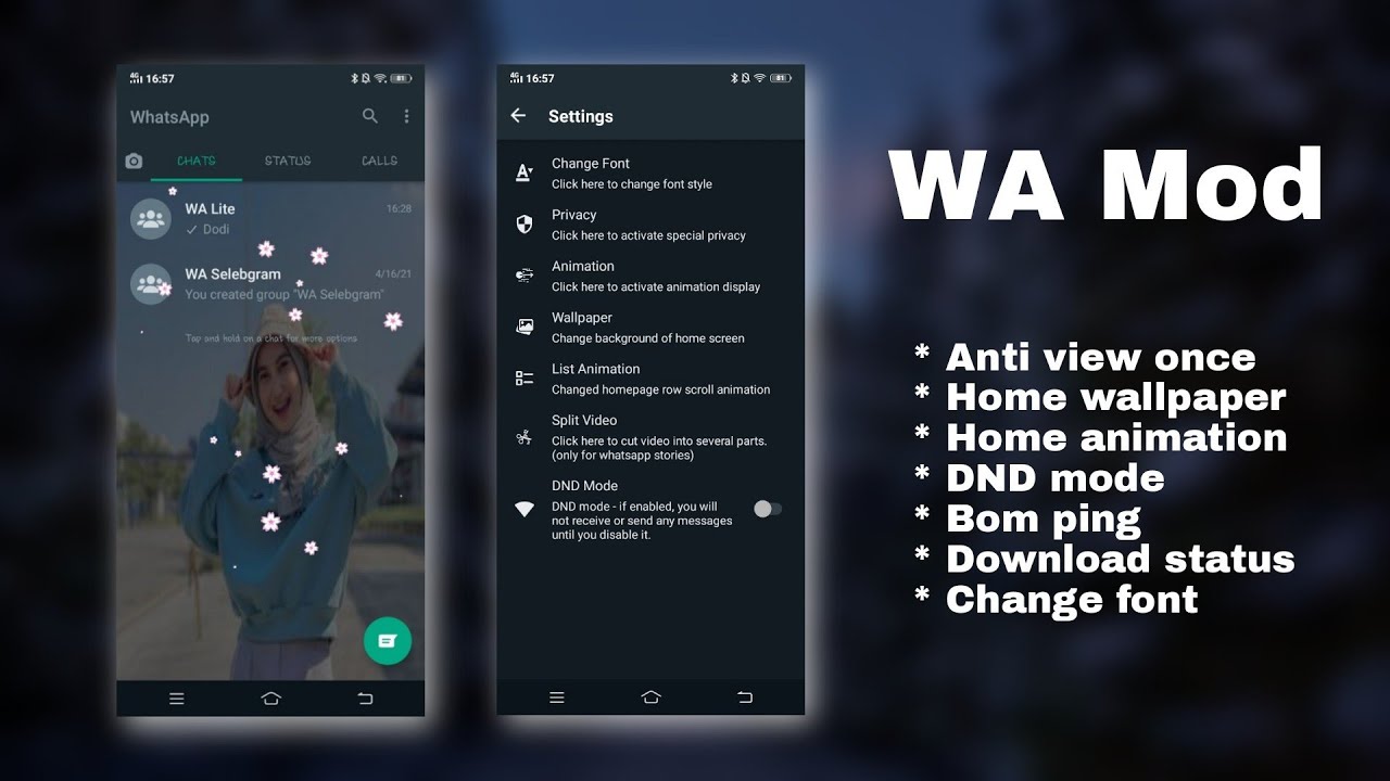 update wa mod new edition YouTube