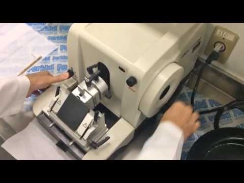 Vídeo: Quais são os tipos de micrótomo?
