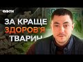 Здоров&#39;я та краса ДОМАШНІХ УЛЮБЛЕНЦІВ! ТМ ProVET — Вибір Країни!🥇