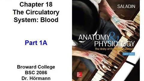 (BC BSC 2086) Chapter 18 The Circulatory System Blood Part 1A.