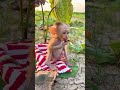 #babymonkey #adorably #cute #adoreble #monkey #pets #animals