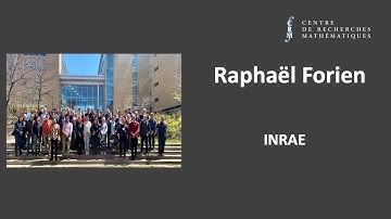 Raphaël Forien: Fluctuations in stochastic bistable travelling waves