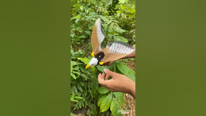 Electric Flying Bird With Hanging Wire Automatic For Ceiling Parrot #Trendy Z #toys #shorts