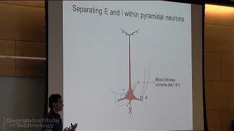 Inhibitory Control of Cortical Activity in vivo