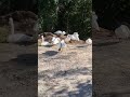 Выходные в Стамбуле