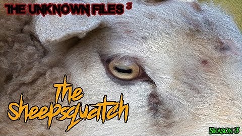 The Unknown Files: The Sheepsquatch