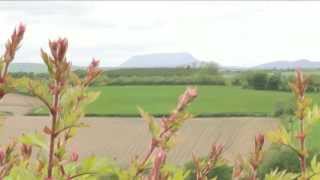 4CNW Stories: farmflo and Wiretrace