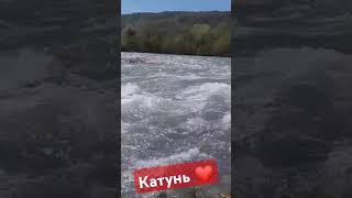 Бирюзовая Катунь