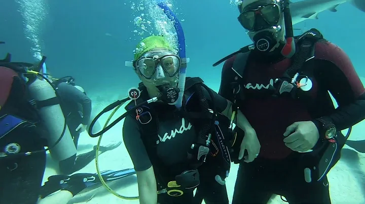 Bahamas Sandals Shark Dive