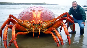 15 Most Dangerous Crustaceans In The World