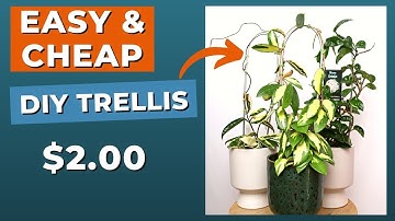 EASIEST Indoor Plant Trellis DIY: Step-by-Step Tutorial