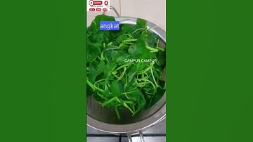 Thumbnail of Cara Membuat Sayur Bayam Tetap Hijau Setelah Dimasak