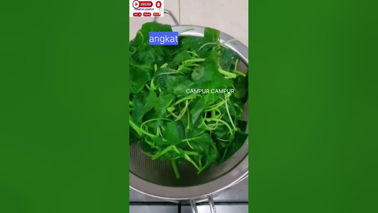 Cara Membuat Sayur Bayam Tetap Hijau Setelah Dimasak