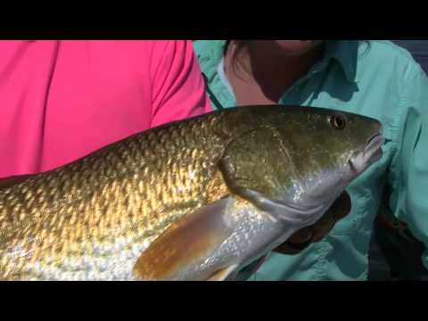 Hot Bites September 21 Fishing Report