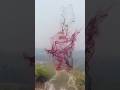 Into stardust Trending invisible effects on instagram || life is a game here are multiple levels