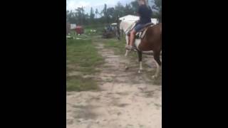 Apache - going over logs