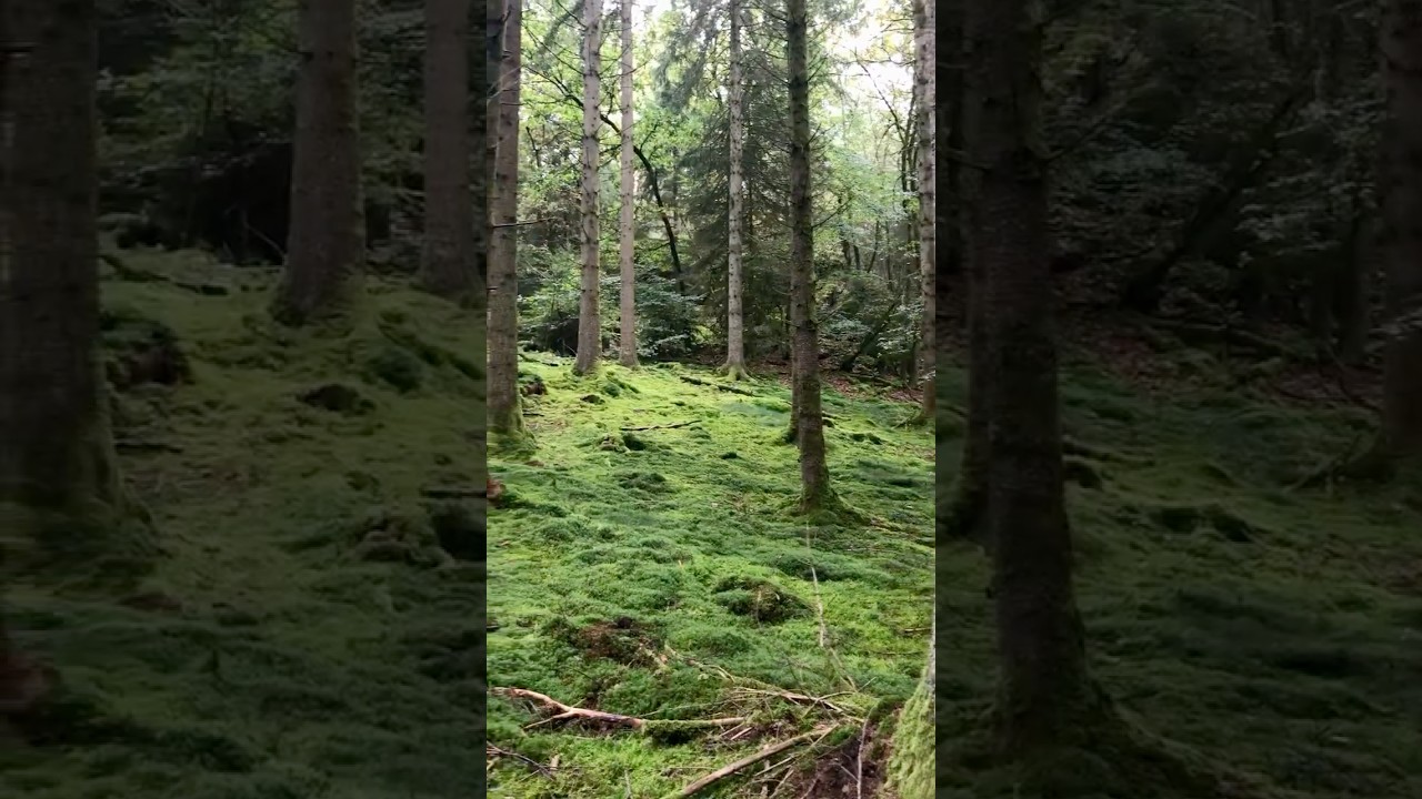 7 tips wat te doen in Maissin in de Belgische Ardennen