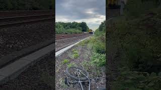 IMG 0249