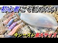 反則級！？大きいイカをたくさん釣る最速手！エギングで釣れない人は使ってみよう！パタパタしか勝たん！