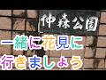 一緒に花見に行きましょう仲森公園2026