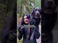 Family Carries Their Injured Lab 7 Kilometers Down A Mountain | The Dodo
