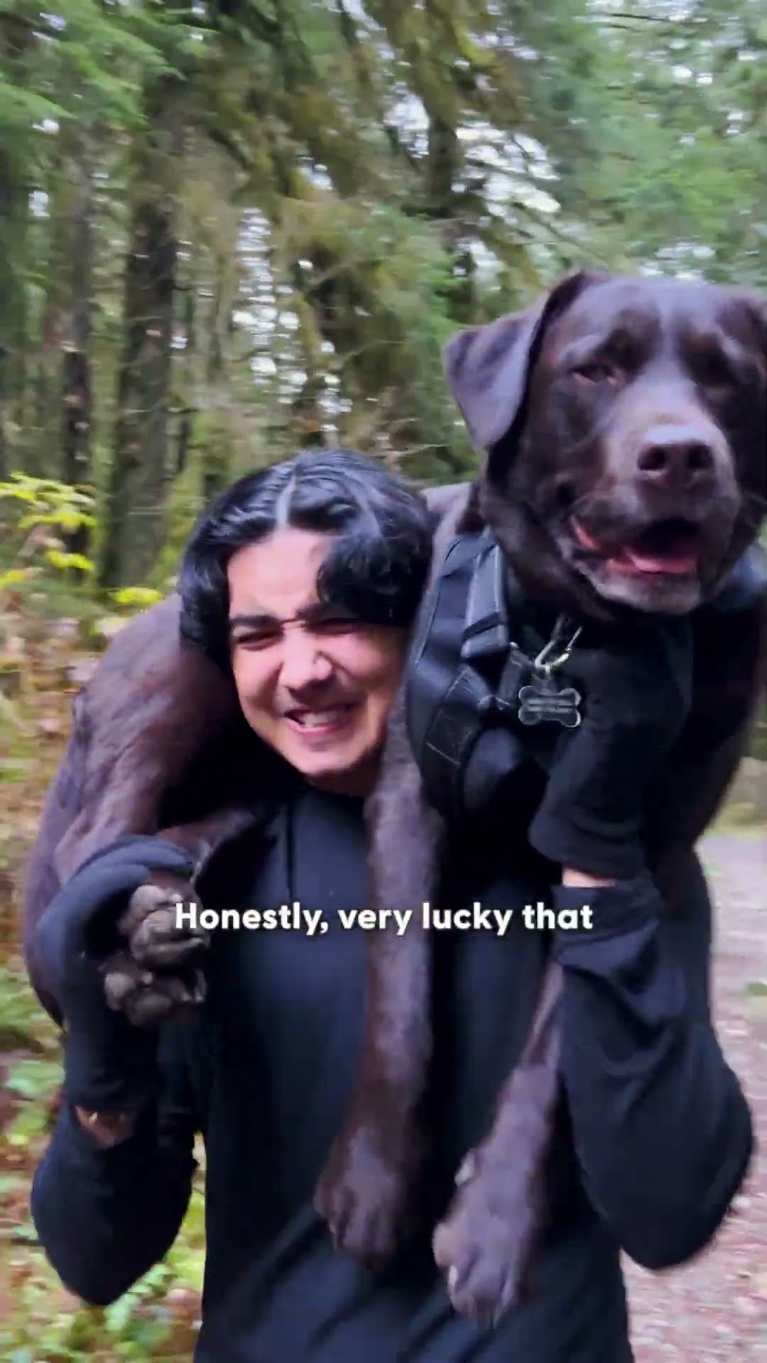 Family Carries Their Injured Lab 7 Kilometers Down A Mountain