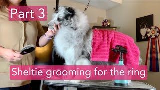 Part 3  Sheltie grooming for the ring