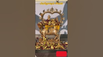 தோஷங்கள் நீக்கும் பிரதோஷம் #சிவன் #sivan #sivan_whatsapp_status_tamil #pradhosham #god #devotional