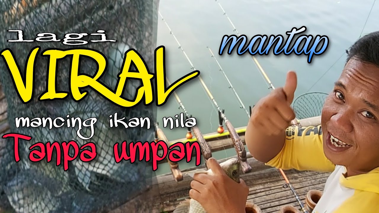 lagi viral mancing ikan nila tanpa umpan#mancing jatiluhur terbaru