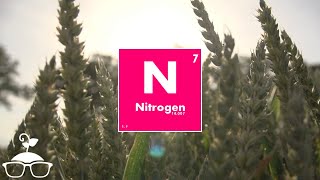 Nitrogen in 100 Seconds