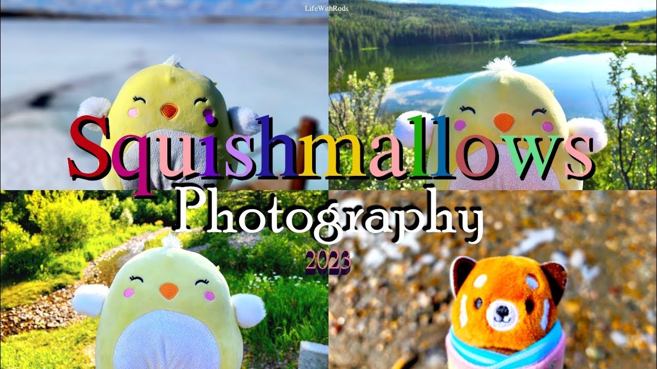 Squishmallow adventure memory photos 2023 best of 2023 slideshow
