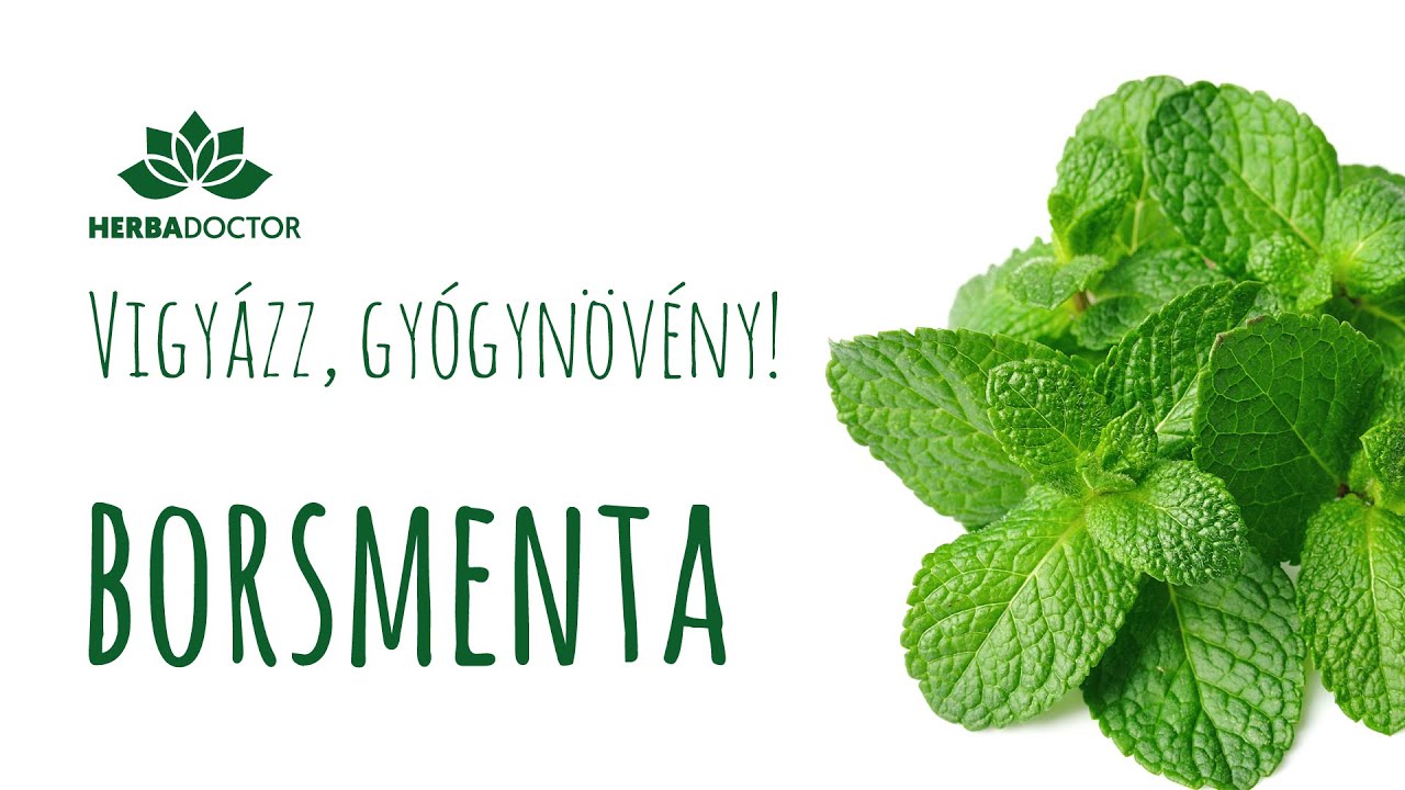 Vigyázz, gyógynövény! Ismerd meg a borsmenta minden előnyét és hátrányát!
