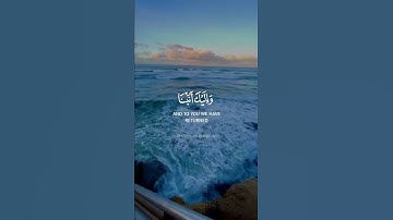 ربنا عليك توكلنا وإليك أنبنا وإليك المصير | القارئ محمد هشام