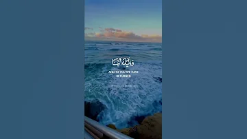ربنا عليك توكلنا وإليك أنبنا وإليك المصير القارئ محمد هشام 