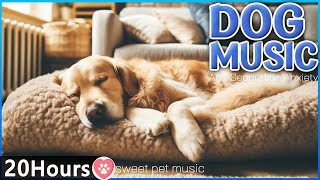 20 HOURS of Dog Calming Music For Dogs🎵🐶Anti Separation Anxiety🐶💖stress relief music🎵 Pet Music
