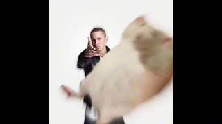 Two Door Cinema Club x Eminem - Undercover Rap [MASHUP]